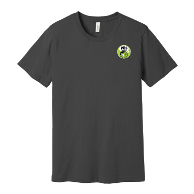 PBS KIDS Dash BELLA CANVAS Unisex Jersey Short Sleeve Tee - BC3001 (DTF)