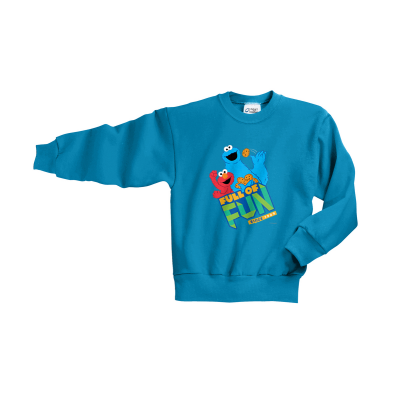 Sesame Street Full of Fun Youth Sweatshirt