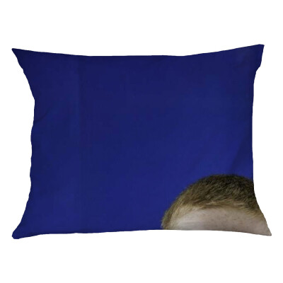 Pet Beds  40" x 30"