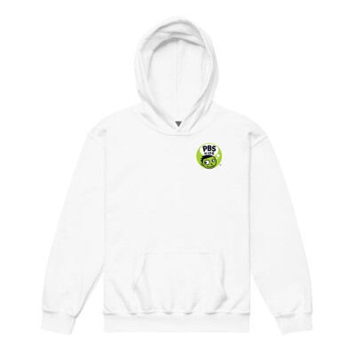 PBS KIDS Dash Logo Youth Heavy Blend Hoodie | Gildan 18500B