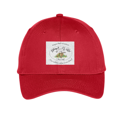Embroidered Twill Cap