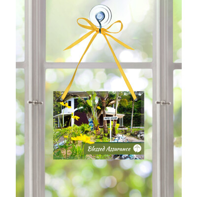 Blessed Assurance: Apostolate Collection