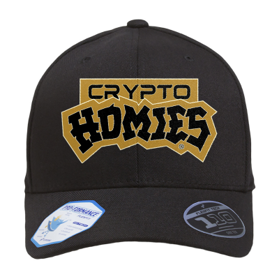 Embroidered CRYPTO HOMIES Flexfit