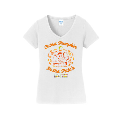 Port & Company Ladies Fan Favorite V-Neck Tee. LPC450V