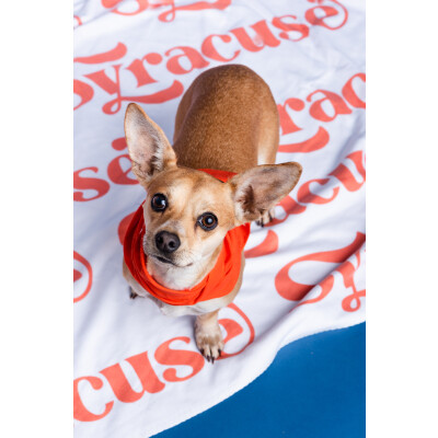 Syracuse Sherpa Blanket (60" x 80")
