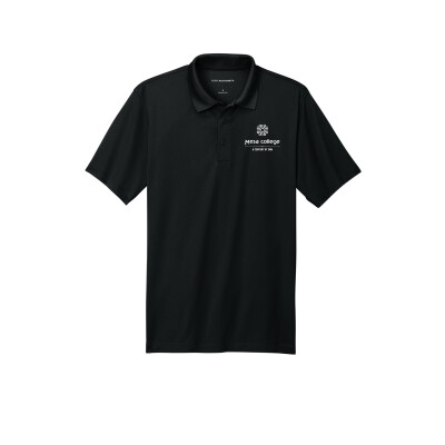 Historic Collegiate Polo - 1981-1987