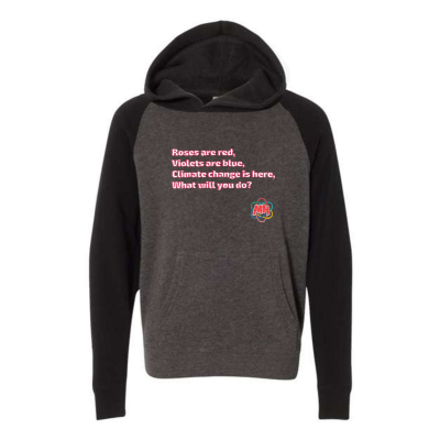 METEOHEROES "Roses are Red, Voilets are Blue Climate Change Is Real What Are You Going To Do?" UNISEX- YOUTH Special Blend Raglan Hooded Sweatshirt