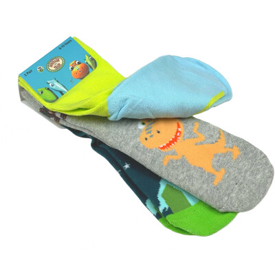 Dinosaur Train Space Pack Kids Socks - 3 Pairs