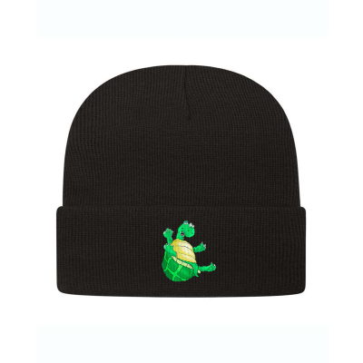 Sherman the Turtle Embroidered Knit Beanie