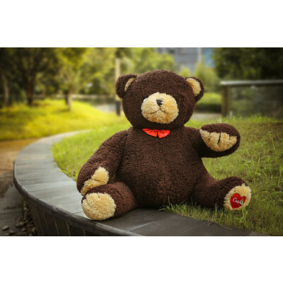 A Tiny Teddy named Cuds, 3 Feet Teddy Bear Plush Toys, Big Chocolate Brown