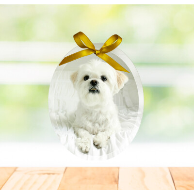 Glass Ornament - Oval (Portrait 3.75" x 3")