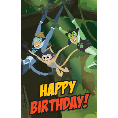 Wild Kratts "Happy Birthday Time To Party" Greeting Card