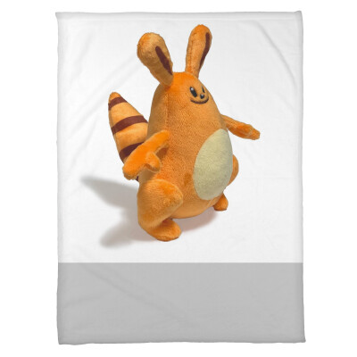 Fleece Blankets - Coral (60" x 80")