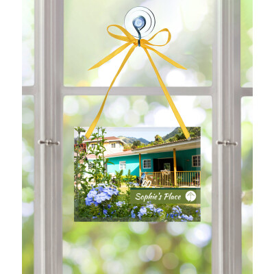 Sophie's Place: Apostolate Collection